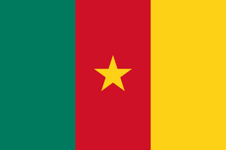 Flag of Cameroon