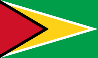 Flag of Guyana
